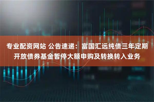 专业配资网站 公告速递：富国汇远纯债三年定期开放债券基金暂停大额申购及转换转入业务