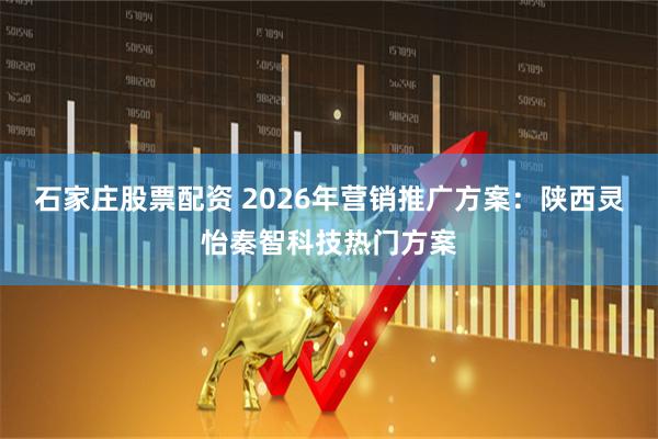 石家庄股票配资 2026年营销推广方案：陕西灵怡秦智科技热门方案