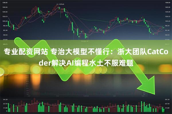 专业配资网站 专治大模型不懂行：浙大团队CatCoder解决AI编程水土不服难题