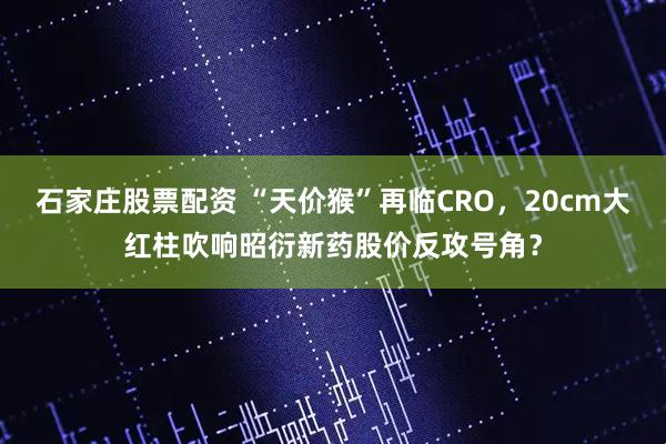 石家庄股票配资 “天价猴”再临CRO，20cm大红柱吹响昭衍新药股价反攻号角？