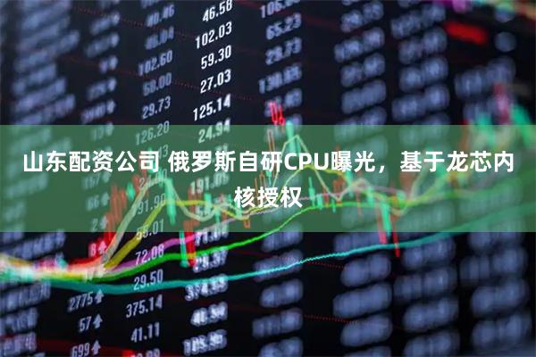 山东配资公司 俄罗斯自研CPU曝光,基于龙芯内核授权