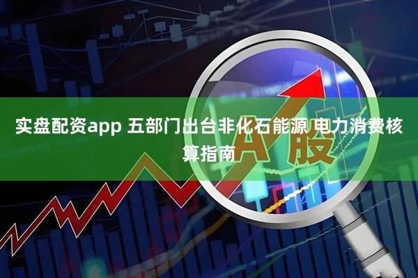 实盘配资app 五部门出台非化石能源 电力消费核算指南
